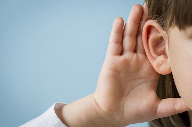Audición y oído
